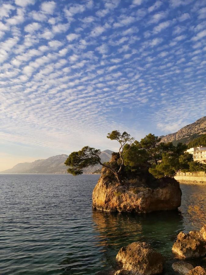 Aurora Beachfront Luxury Rooms&Suites بريلا المظهر الخارجي الصورة