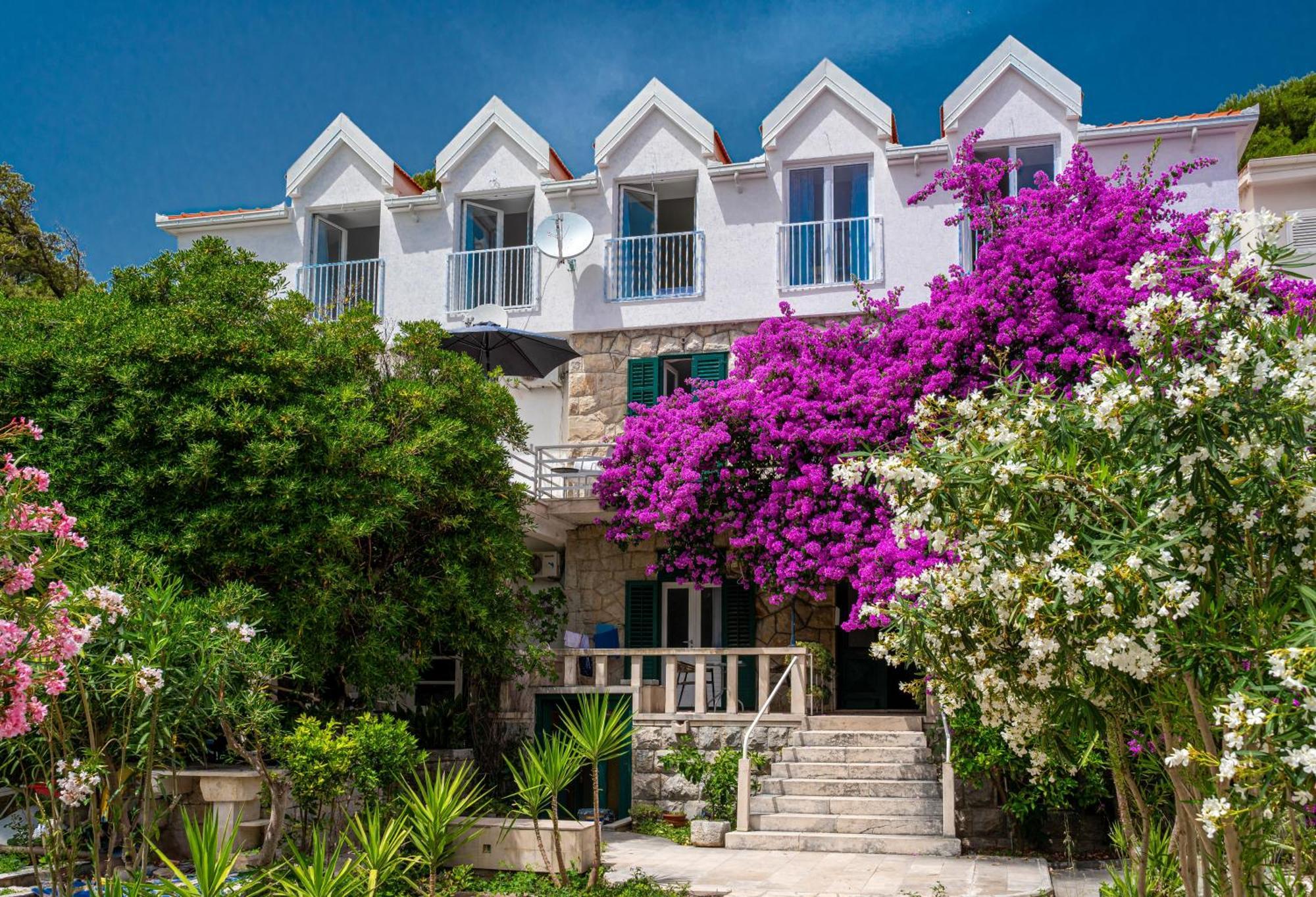 Aurora Beachfront Luxury Rooms&Suites بريلا المظهر الخارجي الصورة